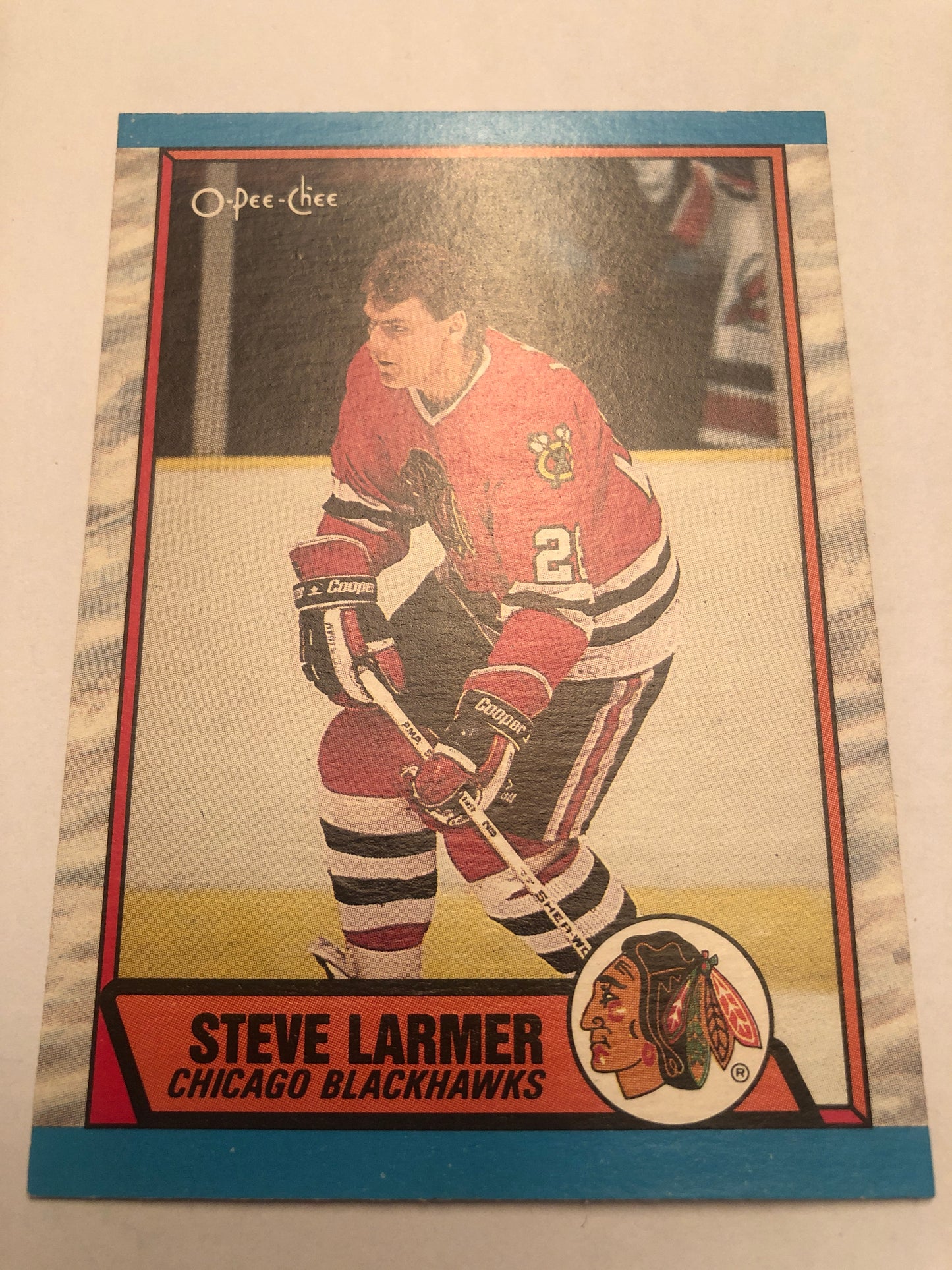 Steve Larmer #179