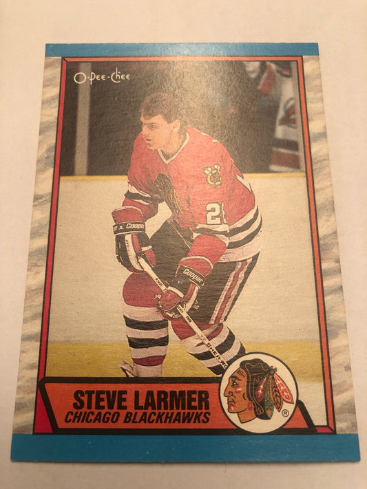 Steve Larmer #179